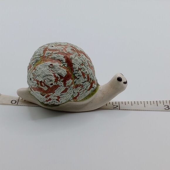 Crackle shell snail - Picture 6 of 7